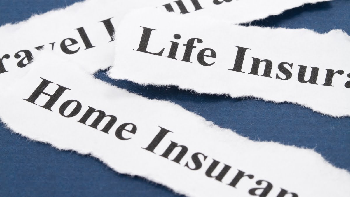 Best Life Insurance Policy