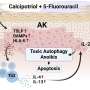 Clinical trial shows cancer-preventing topical immunotherapy trains immune system to fight precancers