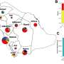 Deadly bacteria behave differently in Saudi Arabia compared with rest of world, epidemiology study finds