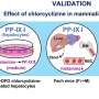 Decades-old allergy drug shows potential for treating liver complications in rare genetic disease