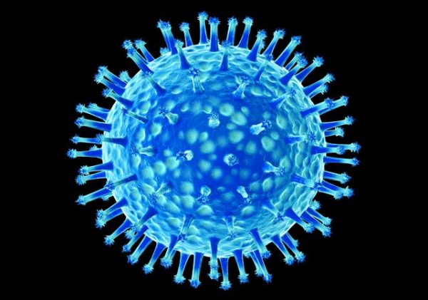 Seasonal Flu Shot: Shield Against Avian Influenza Pandemic?