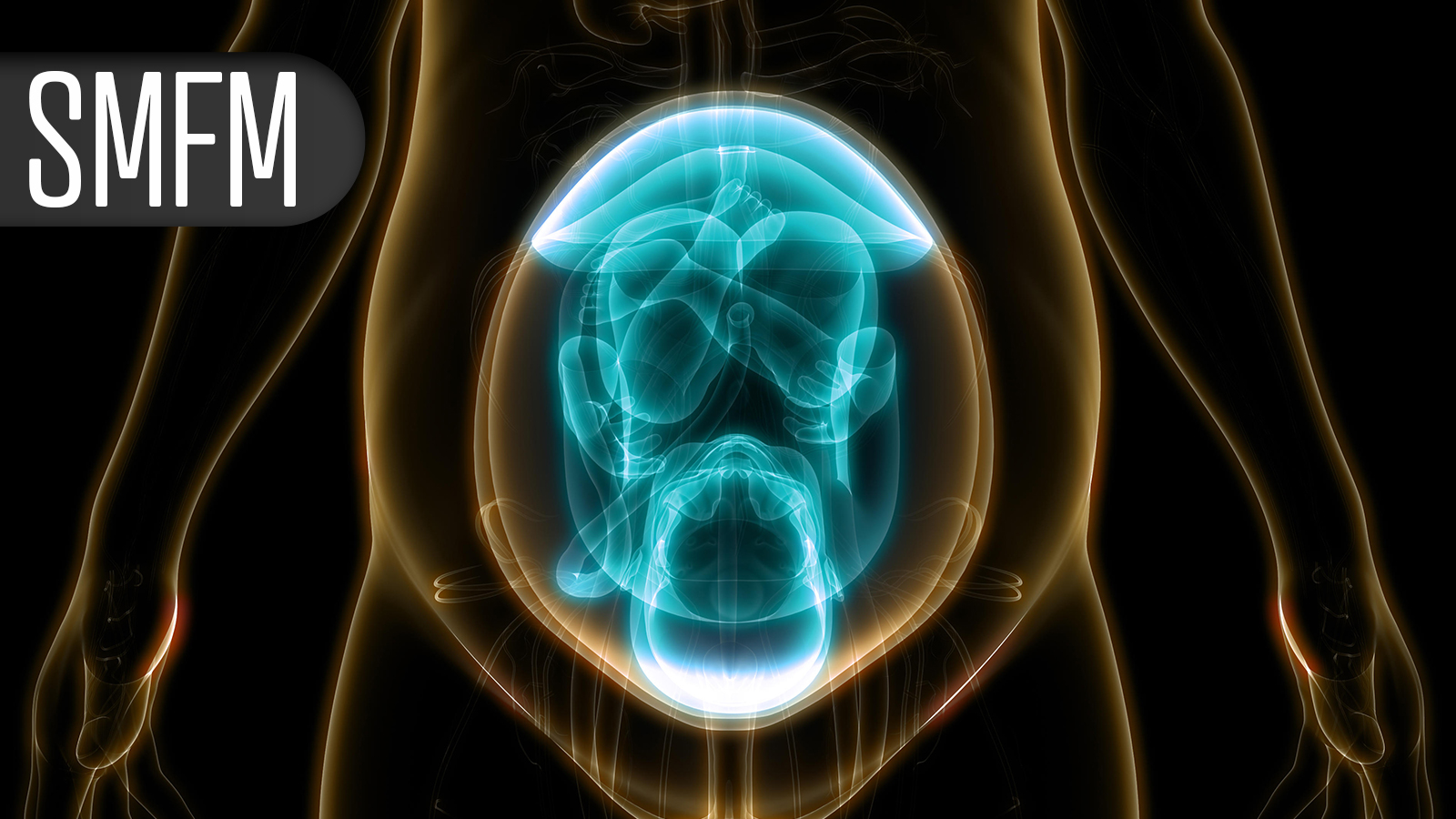 Pregnant Patients With T2D See Pluses and Minuses With Semaglutide