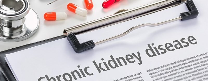 Risk-Directed Management Key in Optimizing CKD Therapy