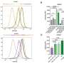 Scientists peel away the mystery of JAK enzymes, which play roles in everything from eczema to ulcerative colitis