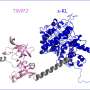 Lab-designed chimeric protein shows beneficial effects in animal models of Alzheimer’s disease