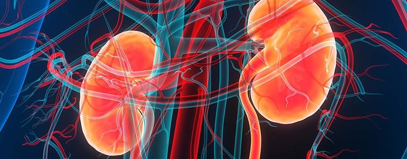 Obinutuzumab a Success in Phase 3 Trial for Lupus Nephritis