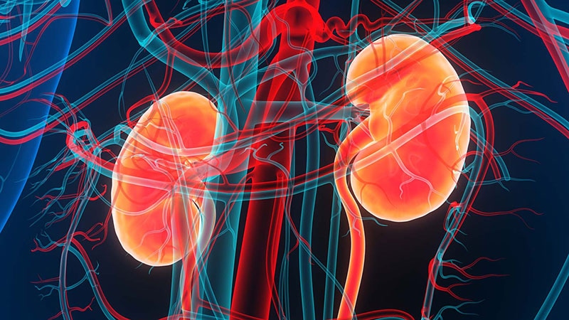 Obinutuzumab a Success in Phase 3 Trial for Lupus Nephritis